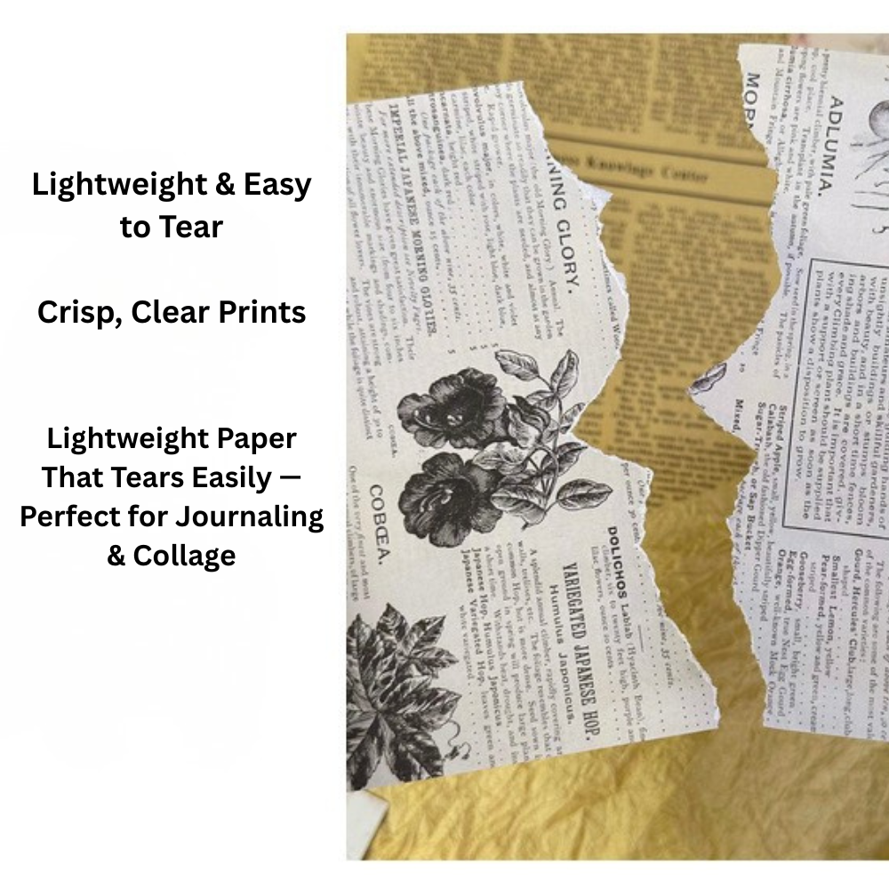 Echoes of the Archive – Background Paper Set, 30 Sheets