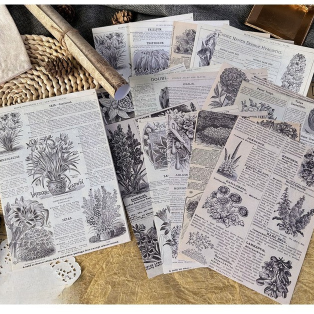 Echoes of the Archive – Background Paper Set, 30 Sheets