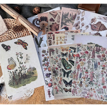 Echoes of the Archive – Background Paper Set, 30 Sheets