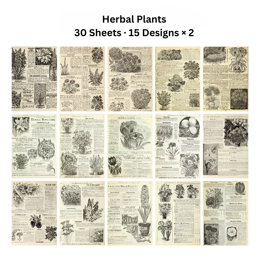 Echoes of the Archive – Background Paper Set, 30 Sheets