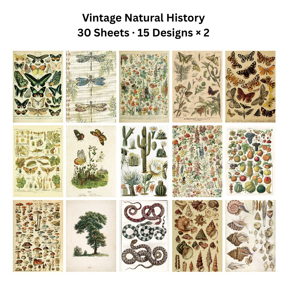 Echoes of the Archive – Background Paper Set, 30 Sheets