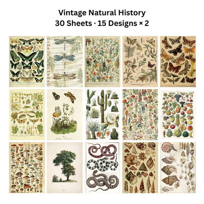 Echoes of the Archive – Background Paper Set, 30 Sheets
