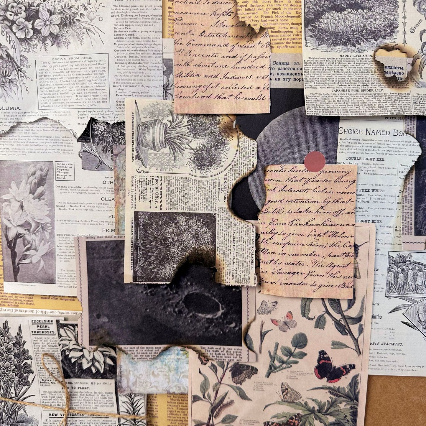 Echoes of the Archive – Background Paper Set, 30 Sheets